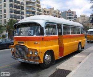 yapboz Malta otobüs